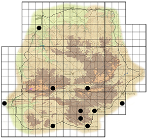 Junonia orithya Waterberg distribution